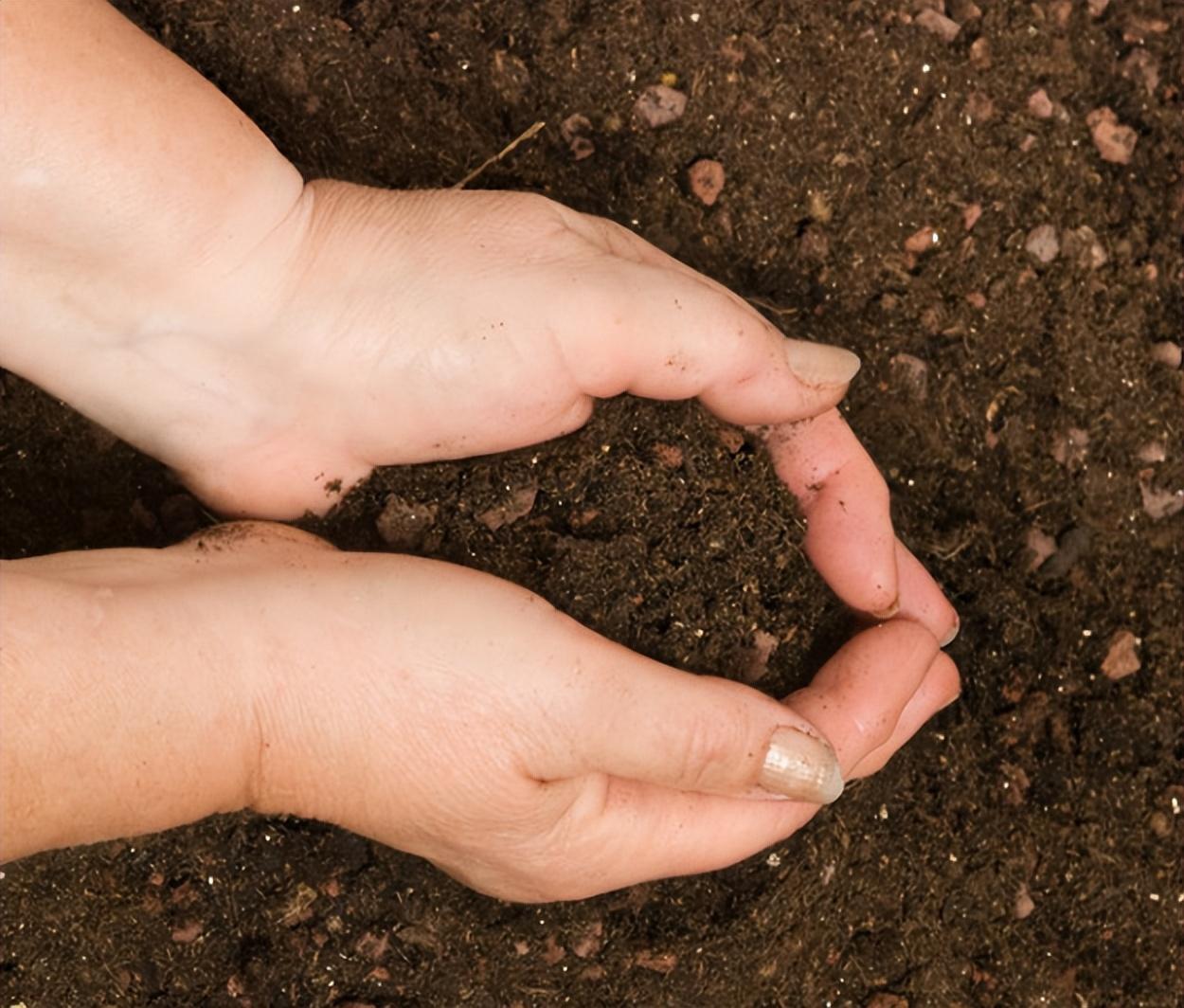 酸性土壤改良的最佳方法(酸性土壤要想改良，可以使用这4个办法，轻松改变)