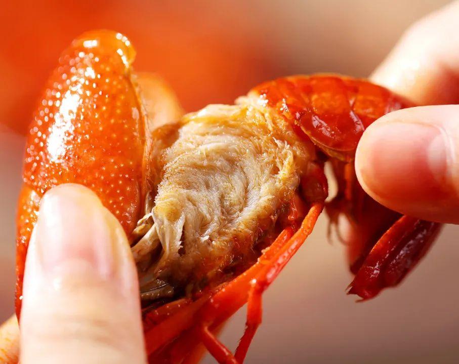  小龙虾毒素最多？听听医生说：怎样吃龙虾才健康？