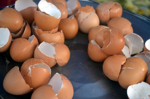 吃鸡蛋壳到底能不能补钙？别被骗了，真正补钙的是这几种食物