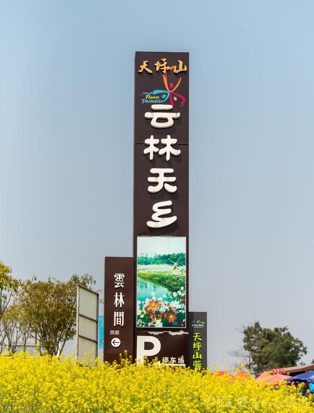 重庆巴南有一座高山上的花海，门票38元却挡不住游客蜂拥前往：值
