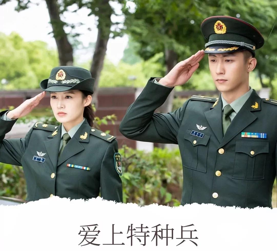 七部激情澎湃中国特种兵的电视剧，你看过几部？