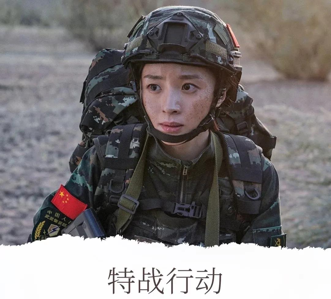 七部激情澎湃中国特种兵的电视剧，你看过几部？