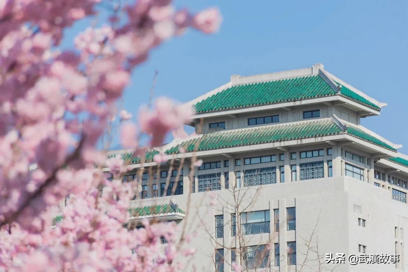 武汉大学官宣：今年樱花盛开期间不对社会公众开放校园