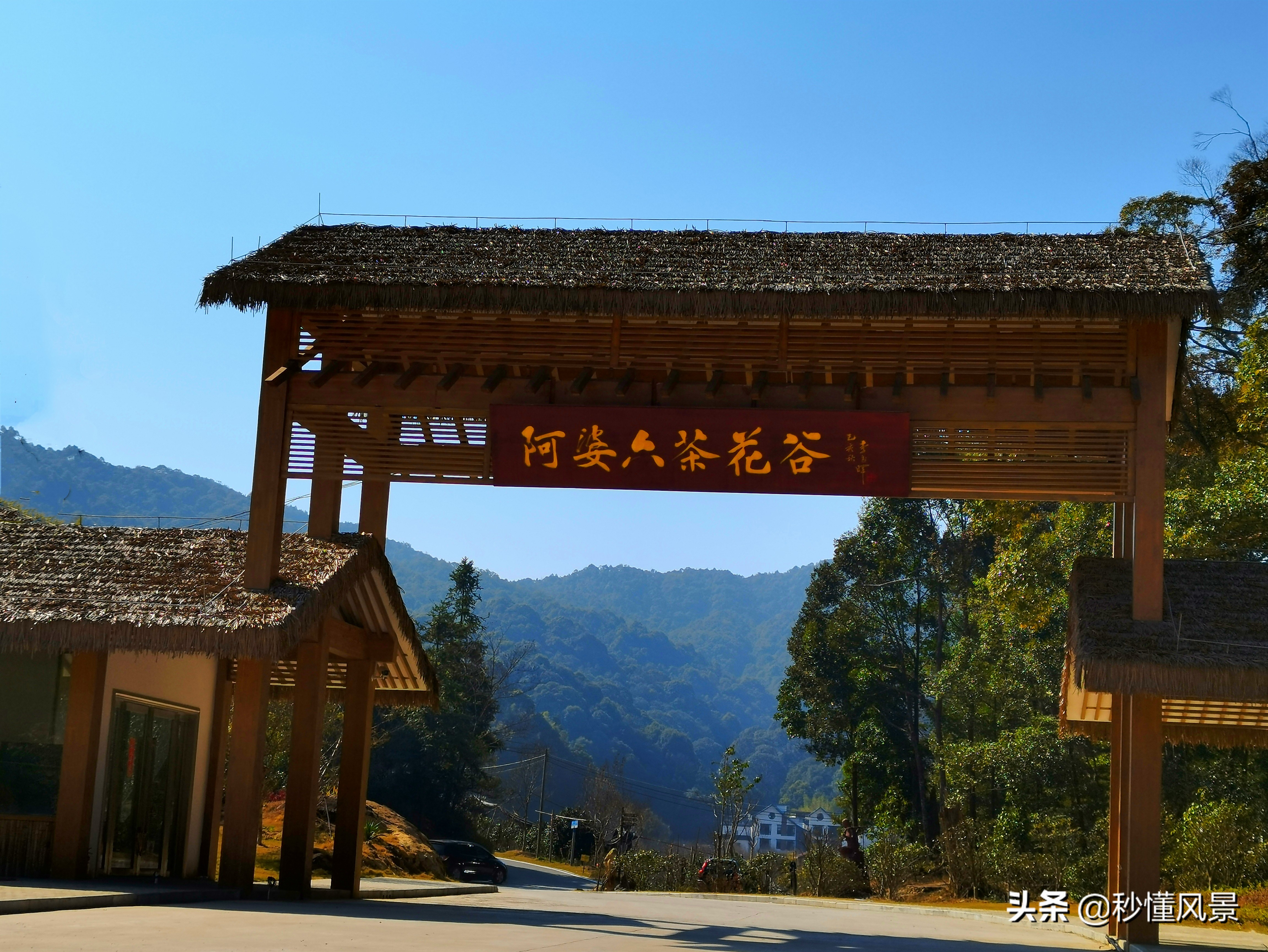 郊区这个村子，被称为“广州最后一片星空”，但知道的人不多