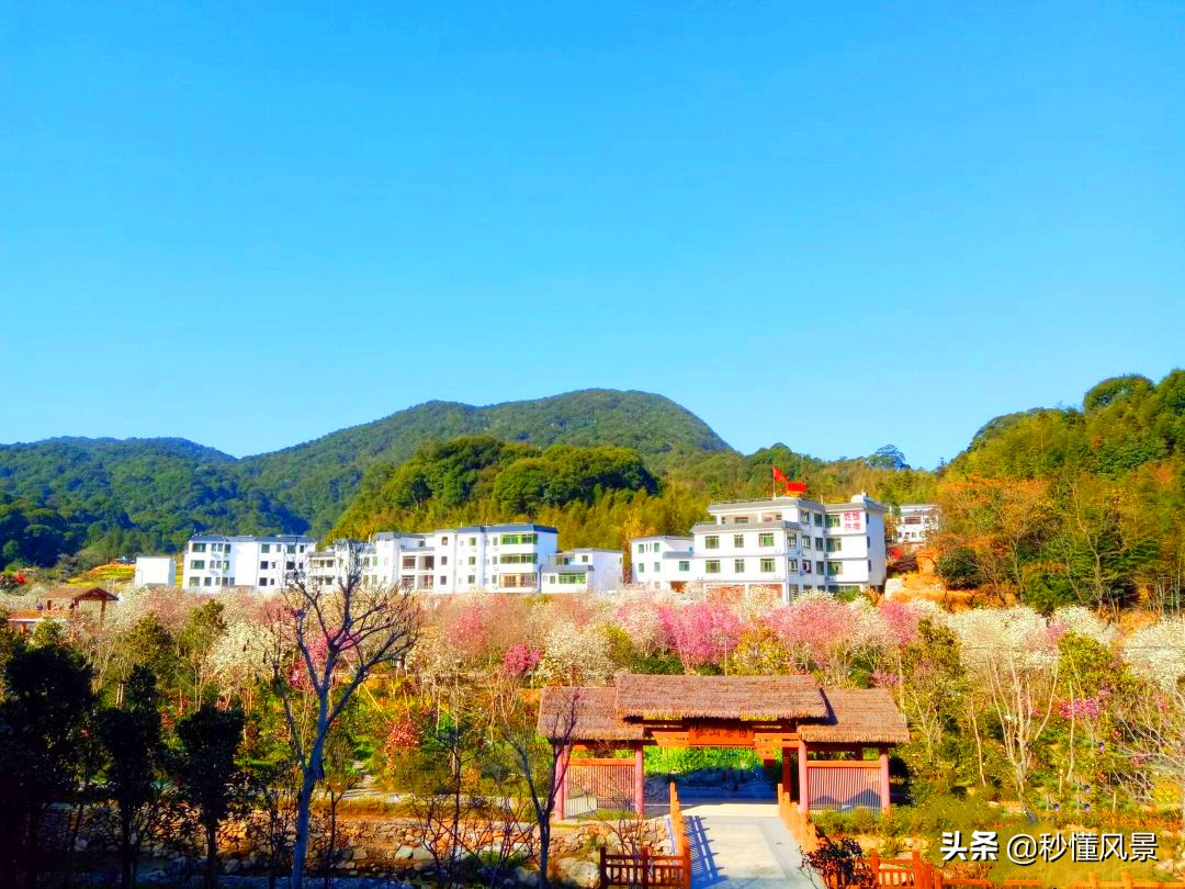郊区这个村子，被称为“广州最后一片星空”，但知道的人不多