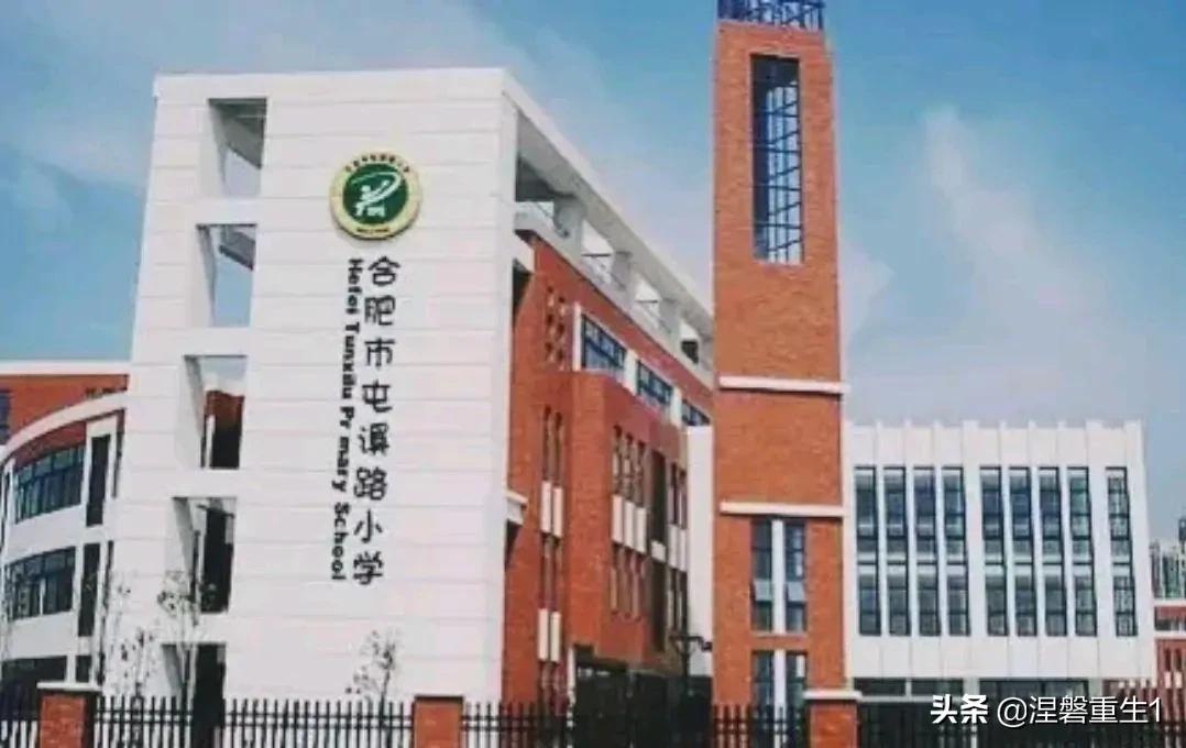 2021年安徽省合肥市小学排名