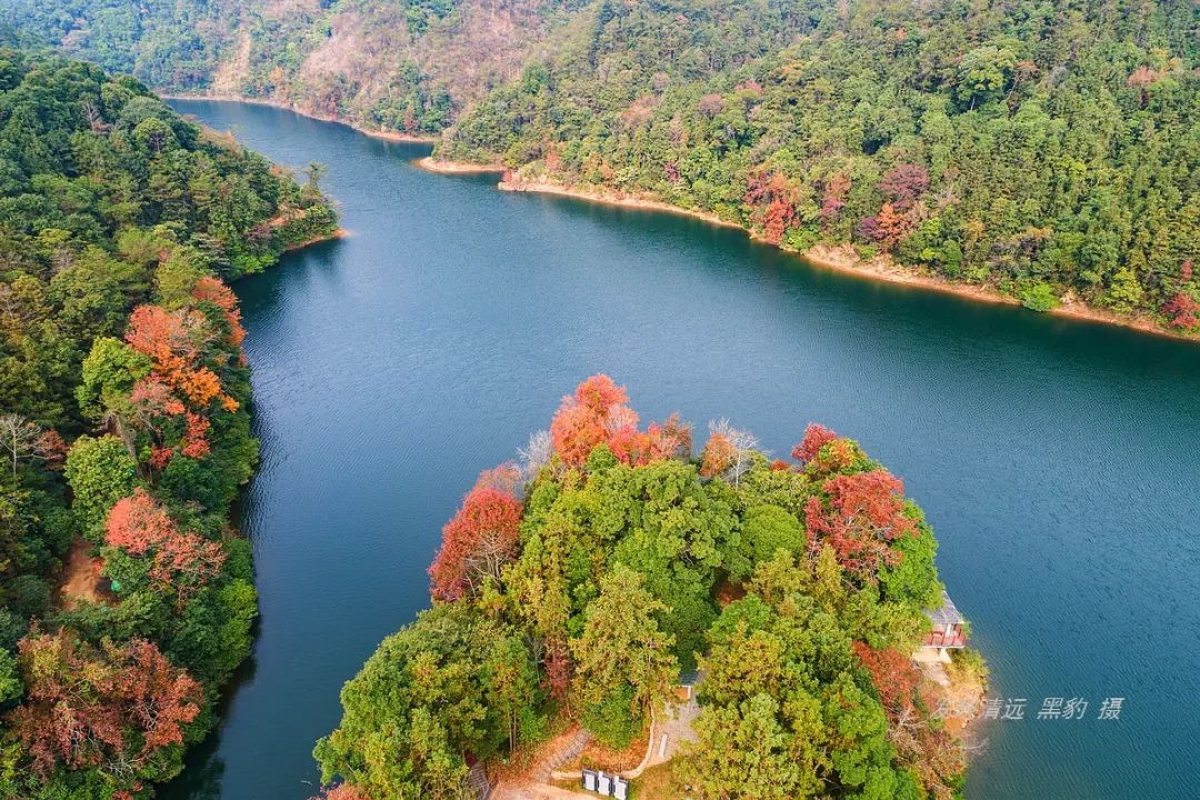 广州近郊竟有如此壮观的枫林，处处流露着岭南罕见的秋意