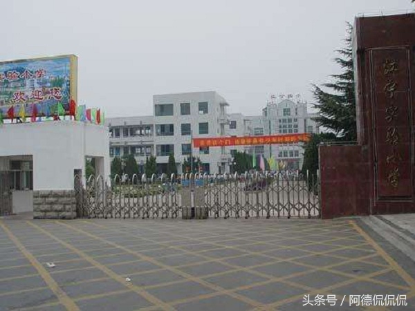 南京江宁区的中小学在这份榜单中是大赢家
