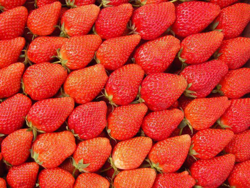 买回家的草莓容易坏，几个保鲜的好方法，早学早用得上