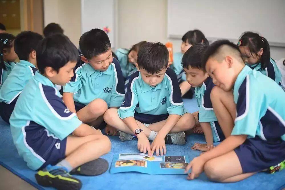 2022最新上海市普陀区小学排名(附上海top小学排名一览表）-第33张图片-PPT汇