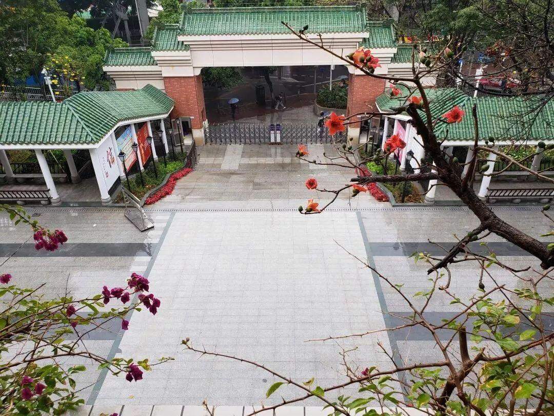 广州荔湾区最好的小学是哪一所？（2022年广州11区口碑好学校名单）-第7张图片-PPT汇