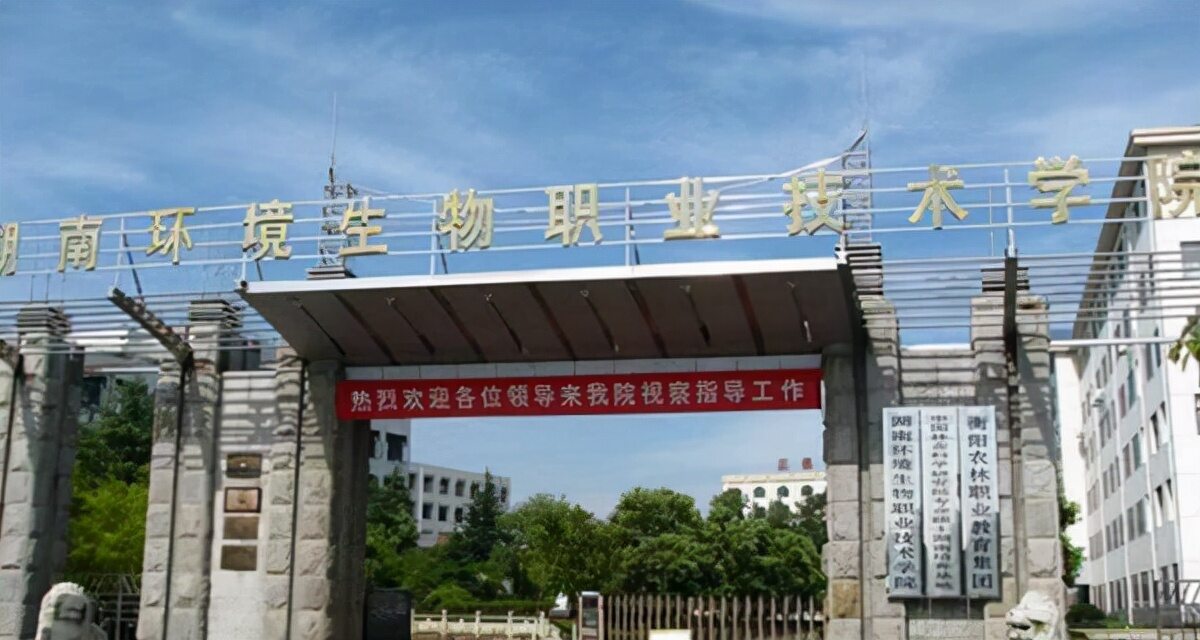 2022湖南省专科学校排名(湖南最容易单招进去的学校)-第4张图片-PPT汇