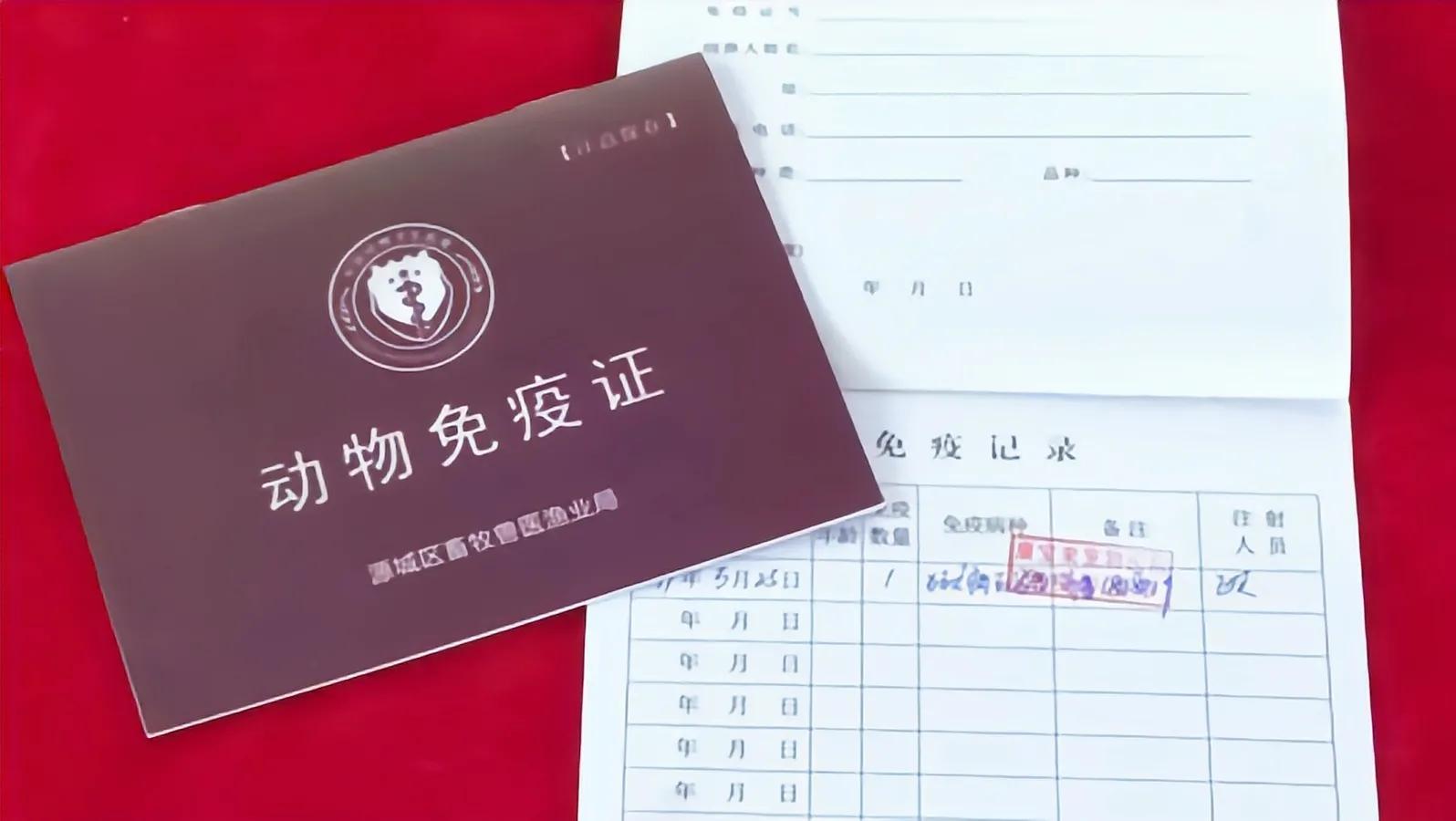 天津启用新版养犬登记证和犬牌，养犬也可以有电子犬证啦！__财经头条