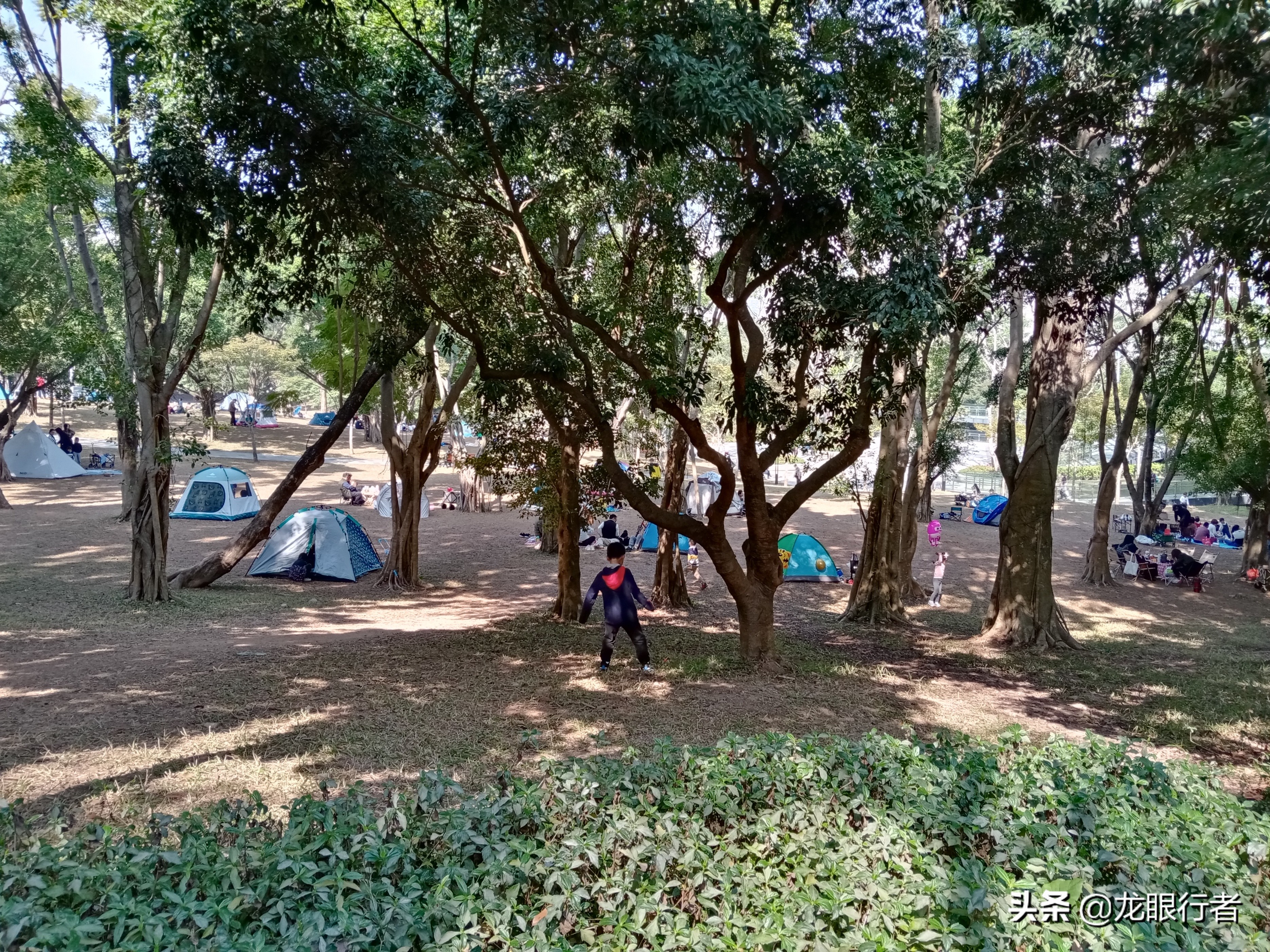 深圳可以搭帐篷的公园有哪些？
