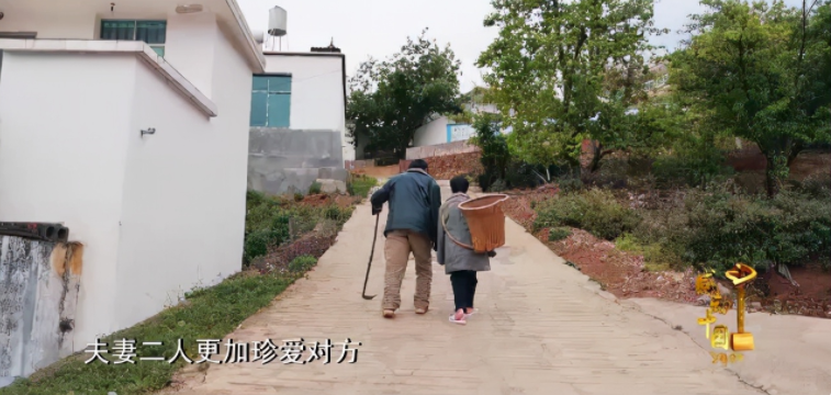 2021《感动中国》十大楷模人物：每一位都值得尊敬，最大者100岁
