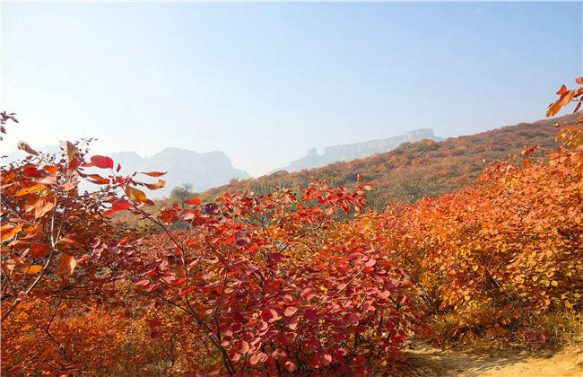 在北京10月-12月的气候怎样？旅游有什么好的选择？