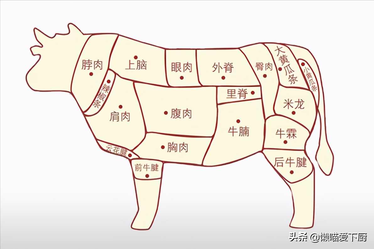 手绘猪肉分割标注图透明png图片素材免费下载 - 觅知网