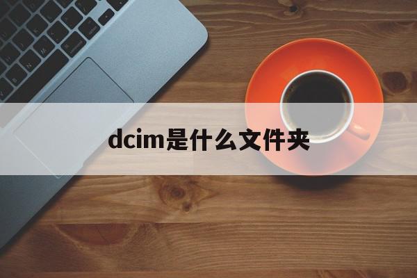 dcim是什么文件夹（dcim接口是干什么的？）