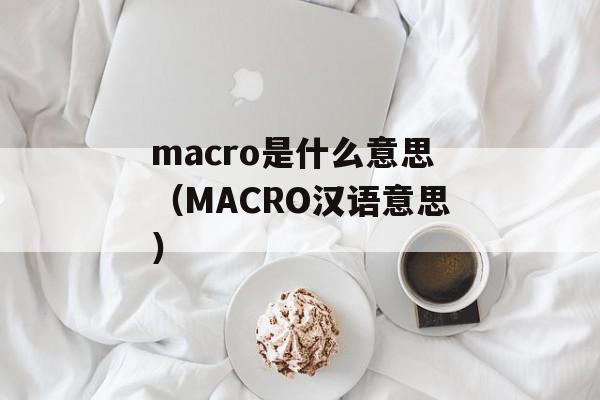 macro是什么意思（MACRO汉语意思）
